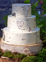 Birch cake wedding cake on birch log and fern background.  Chocolate sculpted heart.