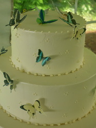 Rice paper butterflies on simple piping buttercream wedding cake.
Chapel Hill, NC