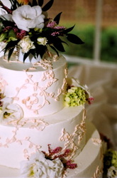 Delicate vines and fresh flowers buttercream wedding cake.
Pittsboro, NC